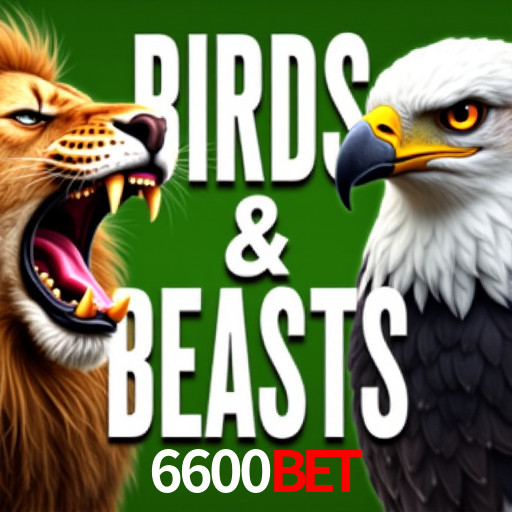 6600 bet app