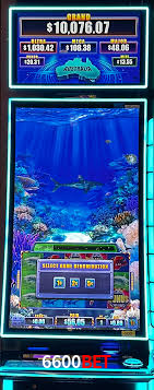 6600bet,6600 bet app